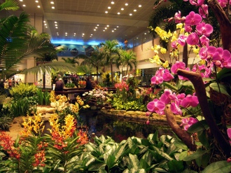 Orchid garden-Singapore Airport